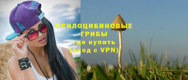 СК Балахна