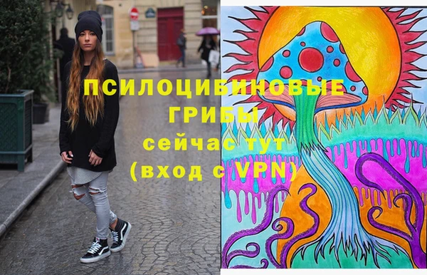 СК Балахна
