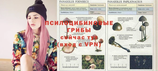 СК Балахна
