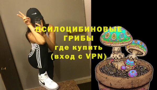 прущие крисы Арсеньев